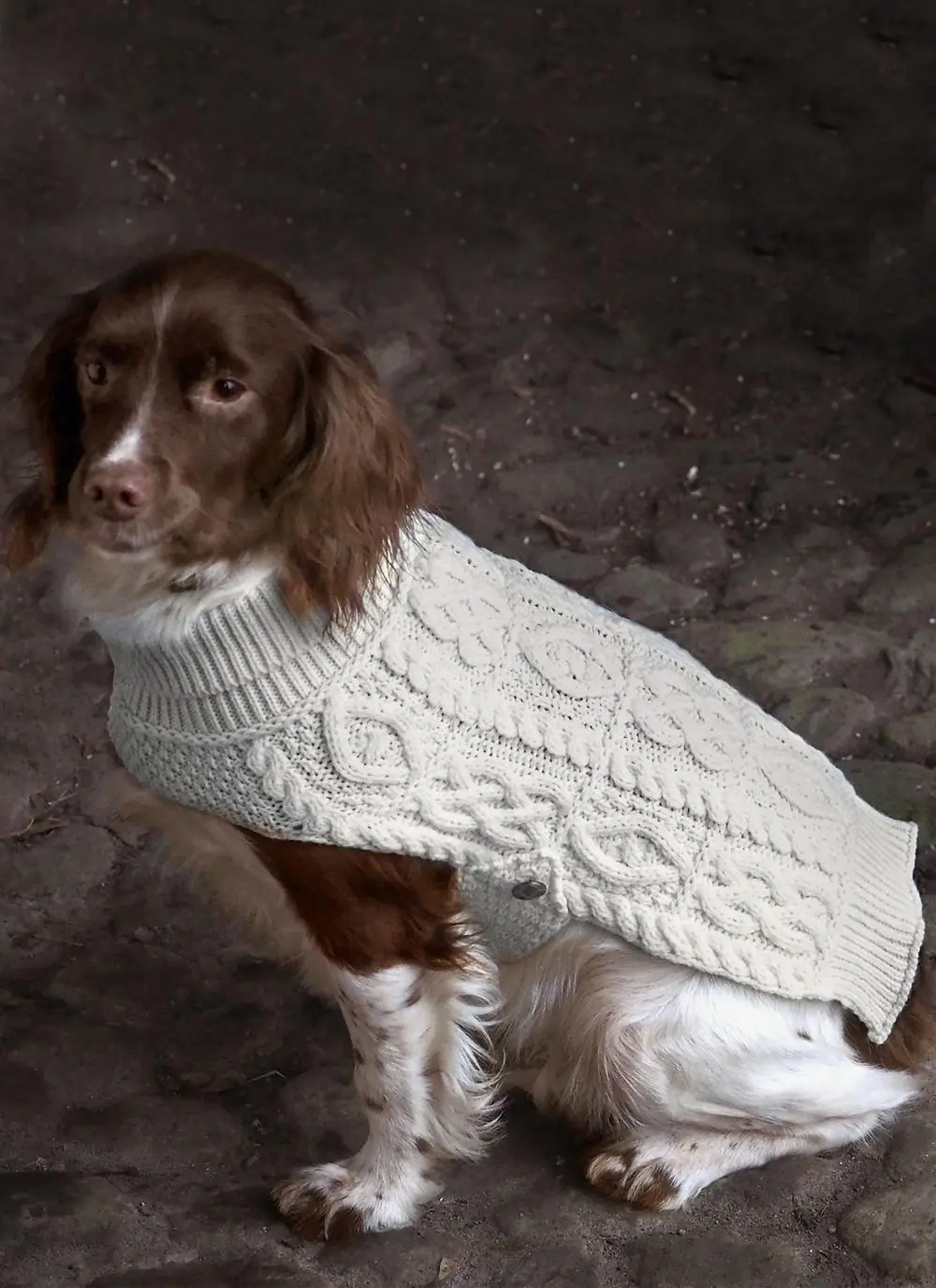 West End Merino Wool Aran Dog Coat in Army Green main image 0